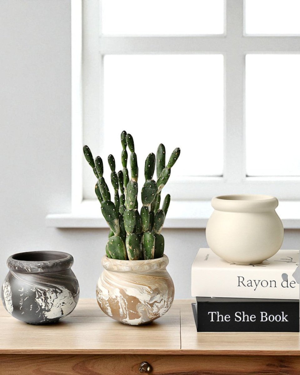 Marbelle Orb Planter - Planter - 5720238829557 - Tumbleweed Plants - Online Plant Delivery Singapore