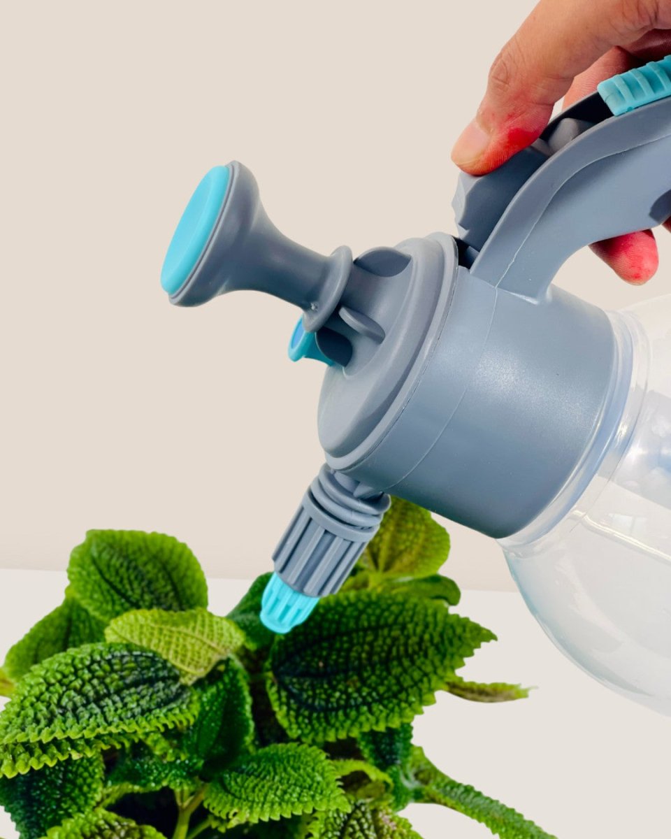 Mariah Garden Pump Spray Bottle - Tumbleweed Plants - Online Plant Delivery Singapore