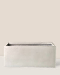 Maris Planter Box - White - Planter - Tumbleweed Plants - Online Plant Delivery Singapore