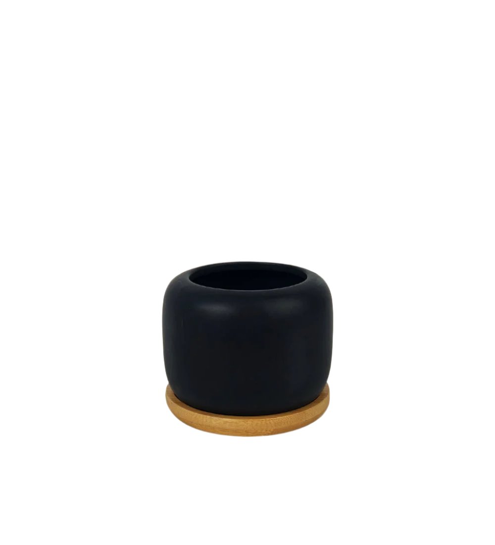 Matte Black Cement Pot with Wooden Tray - Short - medium - Pots - Tumbleweed Plants - Online Plant Delivery Singapore