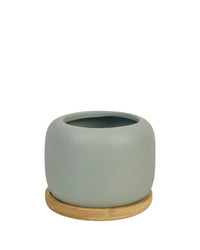 Matte Marine Grey Cement Pot with Wooden Tray - Short - medium - Pots - Tumbleweed Plants - Online Plant Delivery Singapore