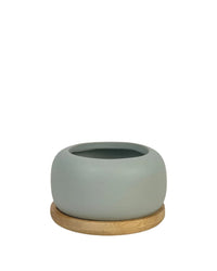 Matte Marine Grey Cement Pot with Wooden Tray - Short - small - Pots - Tumbleweed Plants - Online Plant Delivery Singapore