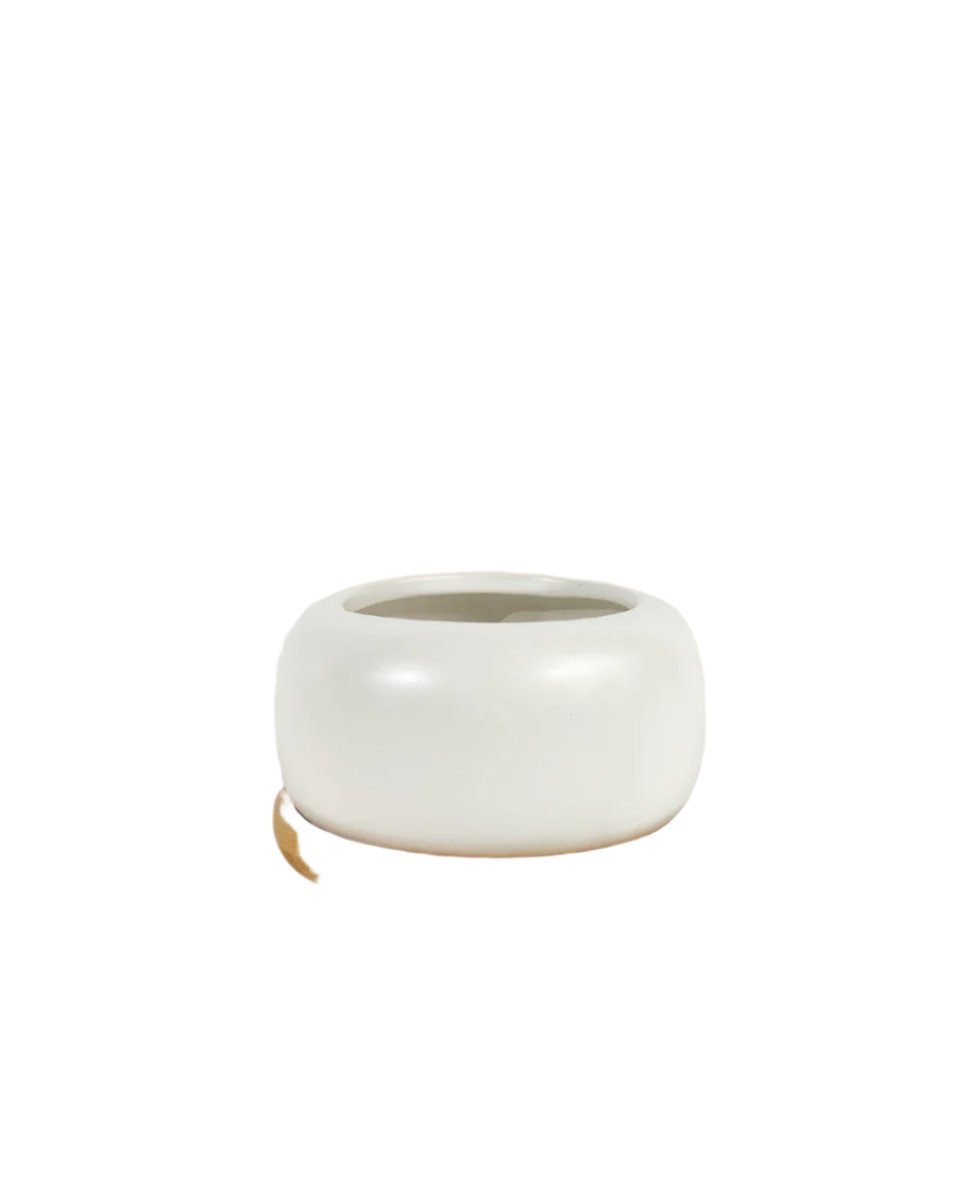 Matte White Cement Pot with Wooden Tray - Short - small - Pots - Tumbleweed Plants - Online Plant Delivery Singapore