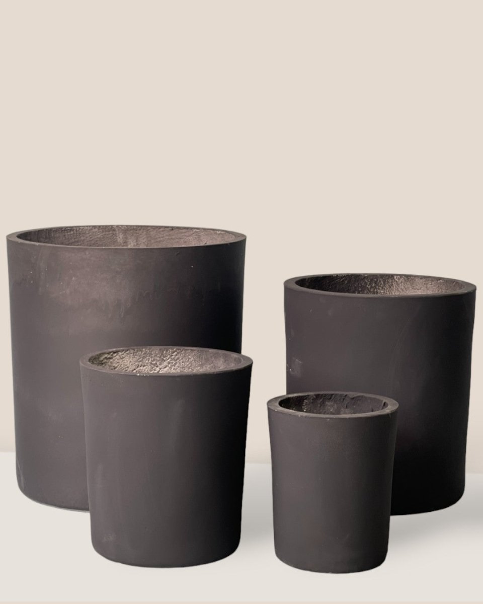 Medium Aurora Clay Pot - black - Pot - Tumbleweed Plants - Online Plant Delivery Singapore
