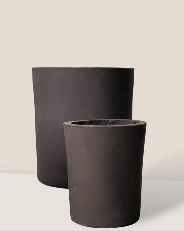 Medium Aurora Clay Pot - black - Pot - Tumbleweed Plants - Online Plant Delivery Singapore