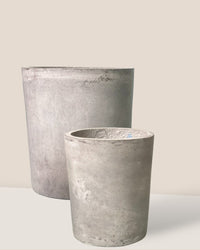 Medium Aurora Clay Pot - gray - Pot - Tumbleweed Plants - Online Plant Delivery Singapore