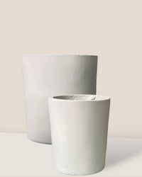 Medium Aurora Clay Pot - white - Pot - Tumbleweed Plants - Online Plant Delivery Singapore