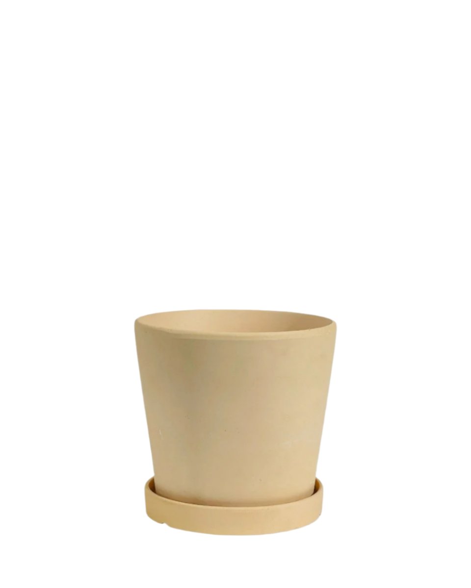 Medium Celine Terracotta Pot - 17cm - Pots - Tumbleweed Plants - Online Plant Delivery Singapore