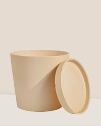 Medium Celine Terracotta Pot - 20cm - Pot - Tumbleweed Plants - Online Plant Delivery Singapore