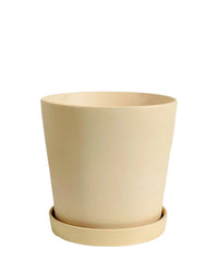 Medium Celine Terracotta Pot - 20cm - Pots - Tumbleweed Plants - Online Plant Delivery Singapore