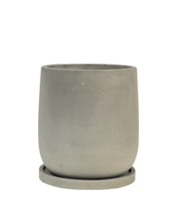 Medium Dusty Grey Cement Planter with Tray - Pots - POTS - MEDI - CM - 6573 - Tumbleweed Plants - Online Plant Delivery Singapore