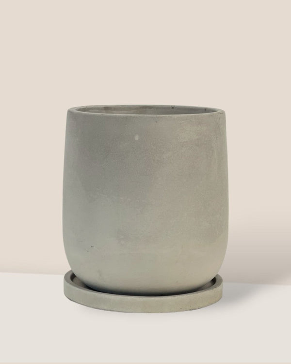 Medium Dusty Grey Cement Planter with Tray - 19cm 