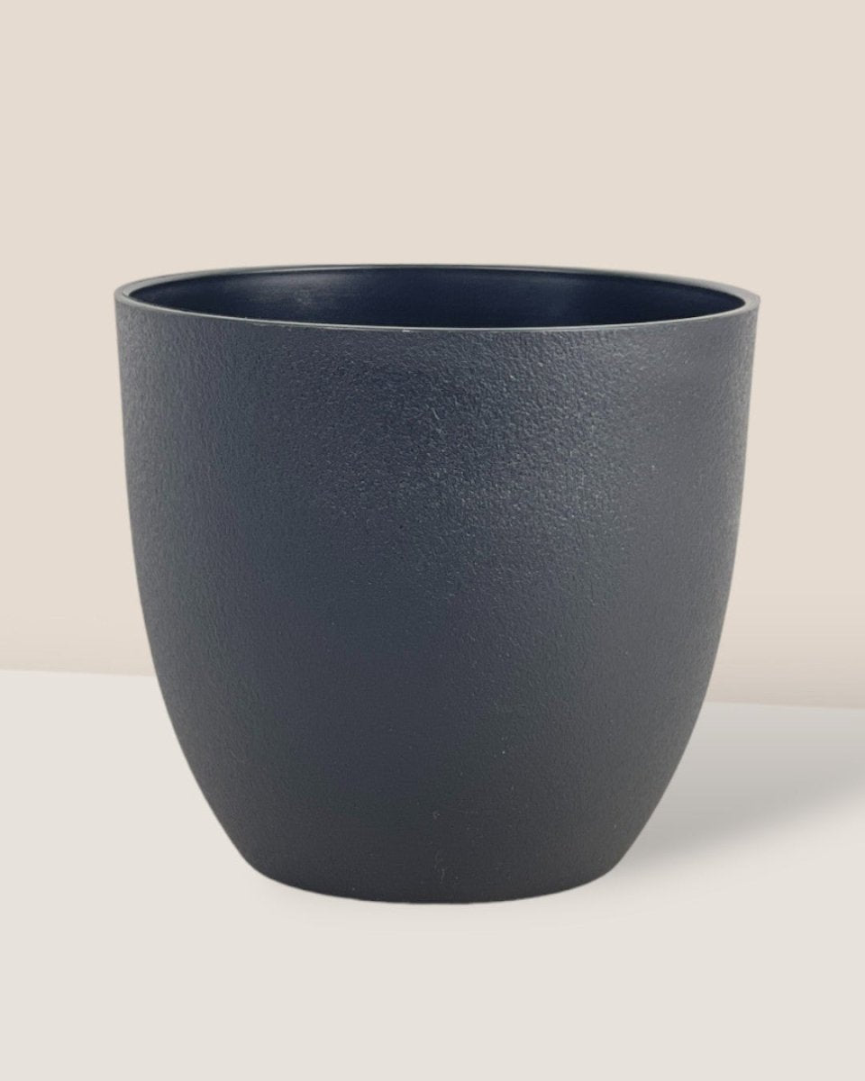 Medium Luxe Plastic Pot - Black - Pot - Tumbleweed Plants - Online Plant Delivery Singapore