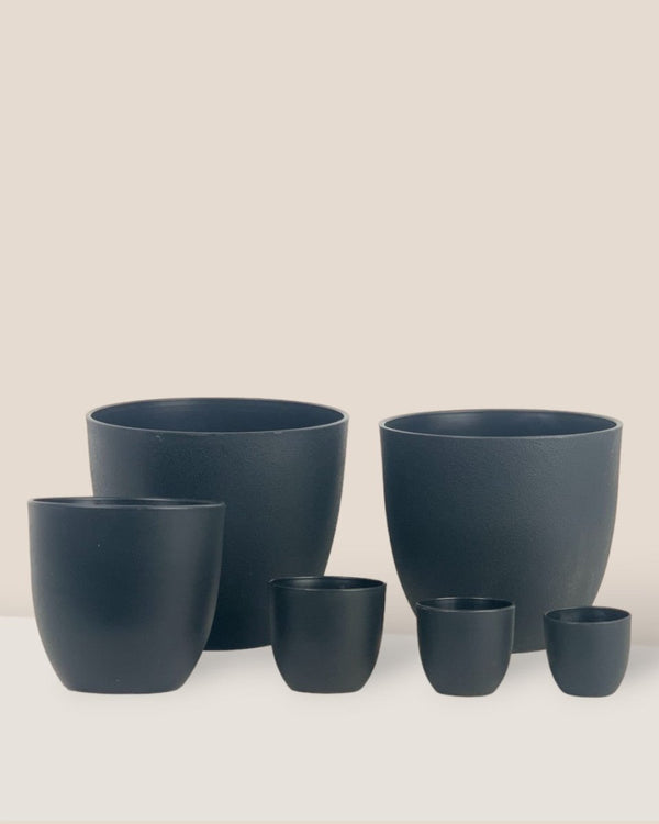 Medium Luxe Plastic Pot - Black - Pot - Tumbleweed Plants - Online Plant Delivery Singapore