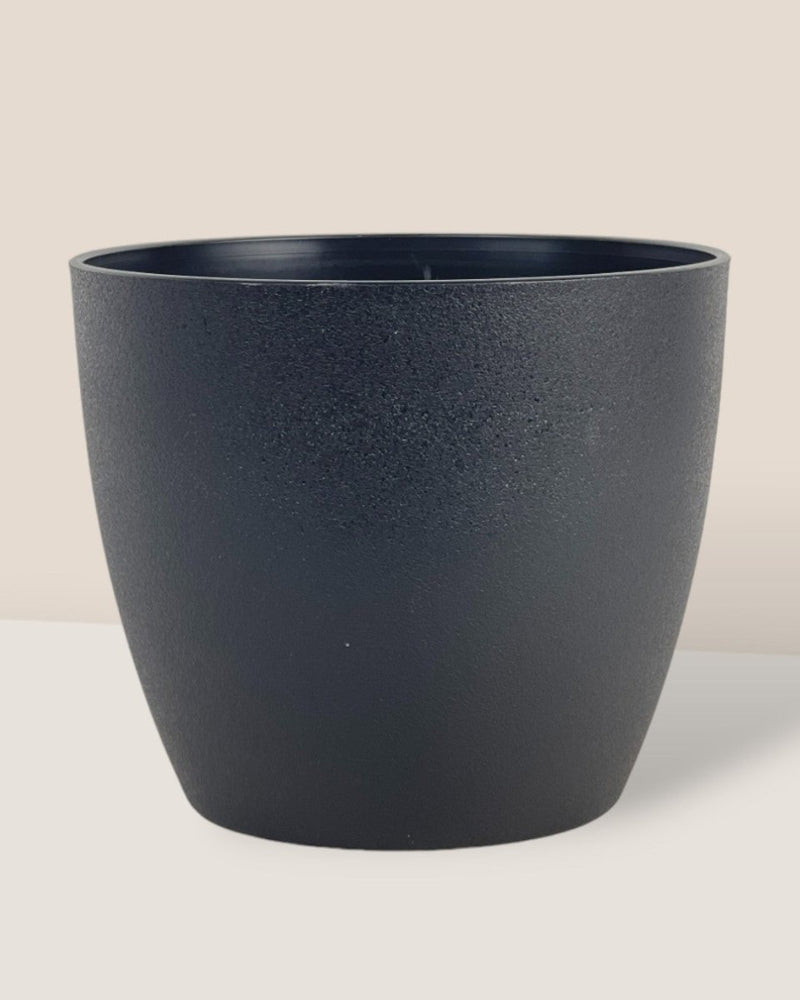 Medium Luxe Plastic Pot - Black - Pot - Tumbleweed Plants - Online Plant Delivery Singapore