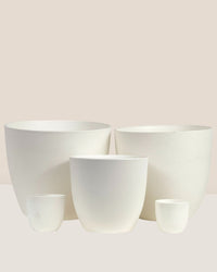 Medium Luxe Plastic Pot - White - Pot - Tumbleweed Plants - Online Plant Delivery Singapore
