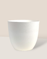 Medium Luxe Plastic Pot - White - Pot - Tumbleweed Plants - Online Plant Delivery Singapore