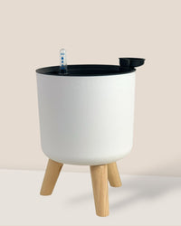 Medium Self Watering Pot with Stand - white - Pot - Tumbleweed Plants - Online Plant Delivery Singapore