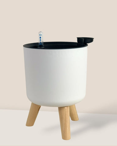 Medium Self Watering Pot with Stand