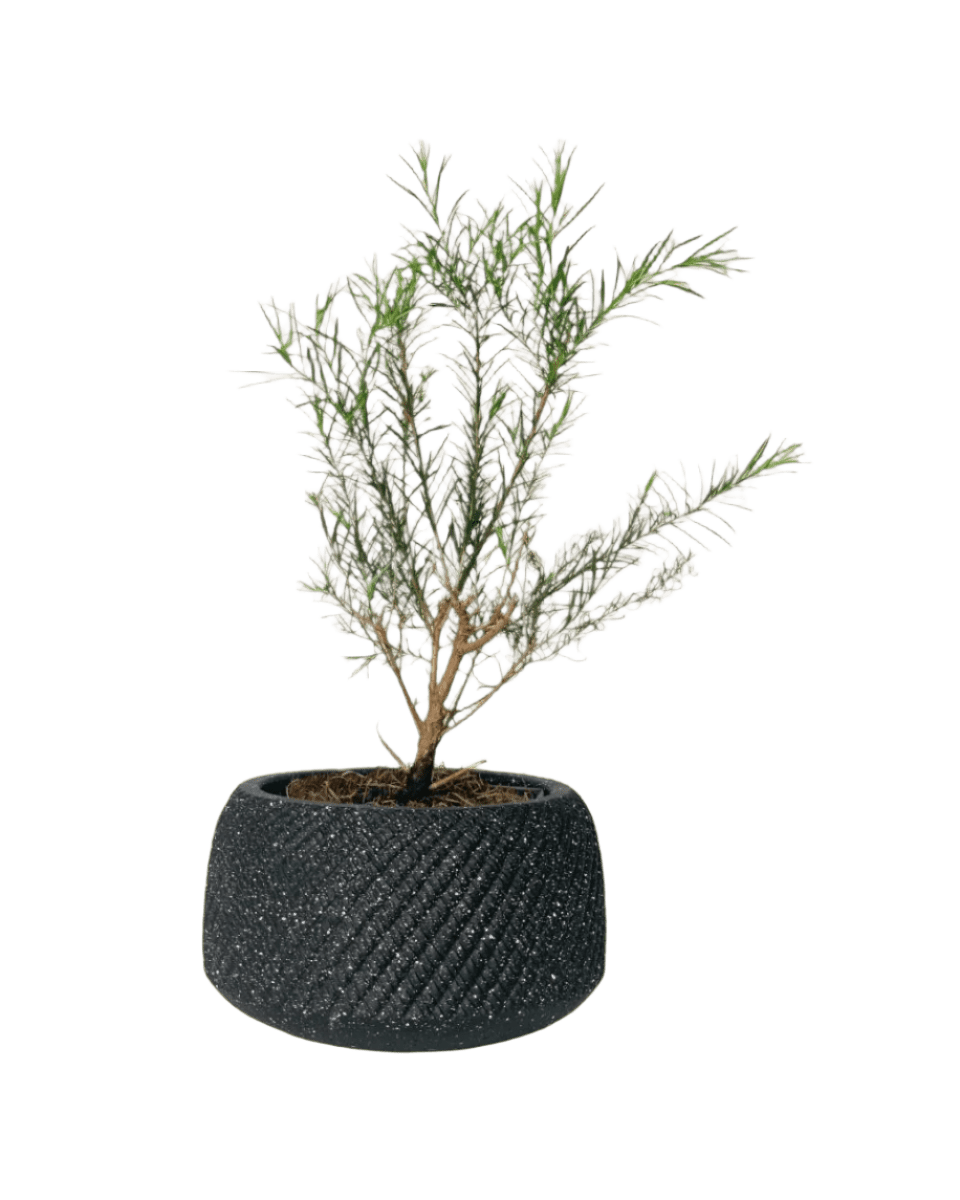 vanga ceramic planter - small/black