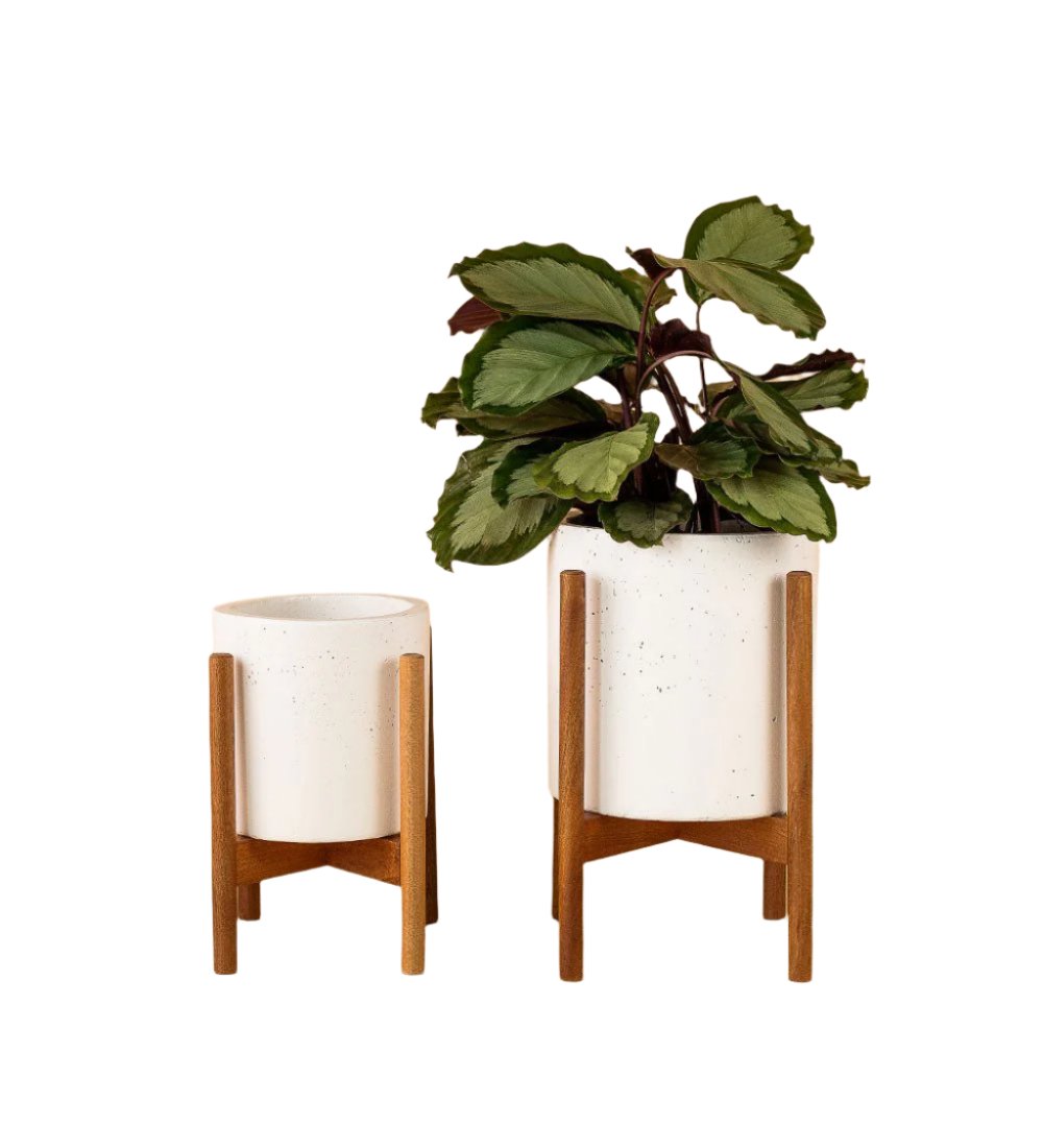 Mid Century Planter with Stand - white - Stand - Tumbleweed Plants - Online Plant Delivery Singapore