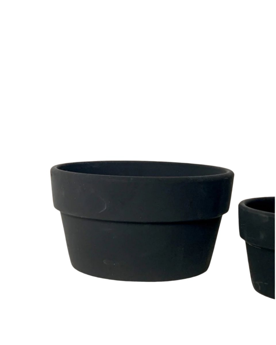 Midnight Black Pot - Large - Pots - Tumbleweed Plants - Online Plant Delivery Singapore