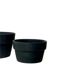 Midnight Black Pot - Small - Pots - Tumbleweed Plants - Online Plant Delivery Singapore