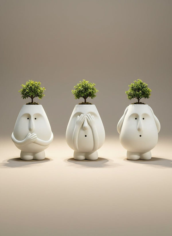 Tumbleweed Plants