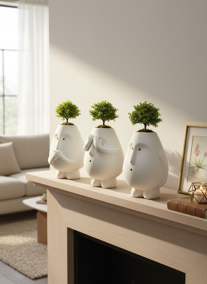 Mimo Trio Pots – See, Hear & Speak No Evil Set - Planter -  - Tumbleweed Plants - Online Plant Delivery Singapore
