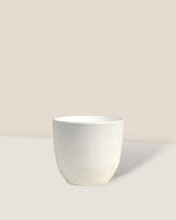 Luxe Plastic Pot - XS