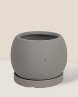 Nala Planter - XS