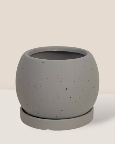 Nala Planter - XS - grey