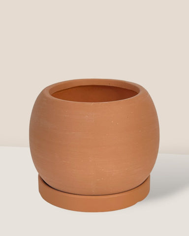 Nala Planter - XS - brown