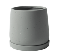 Tulip Pots - XS