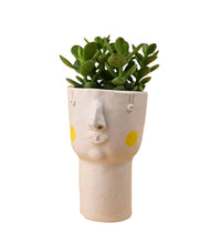 Misfits Tall - yellow cheeks with assorted succulent - Pots - Tumbleweed Plants - Online Plant Delivery Singapore