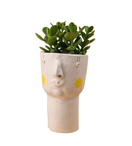 Misfits Tall - yellow cheeks with assorted succulent