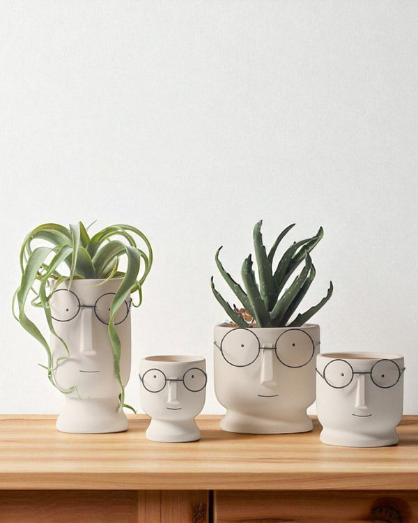 Mister Planter - Medium - Planter - 4853615088149 - Tumbleweed Plants - Online Plant Delivery Singapore