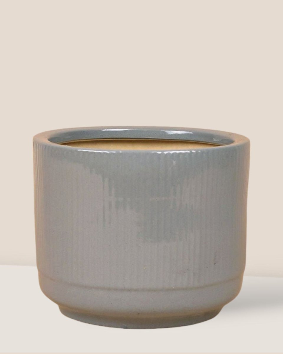 Morandi Pot