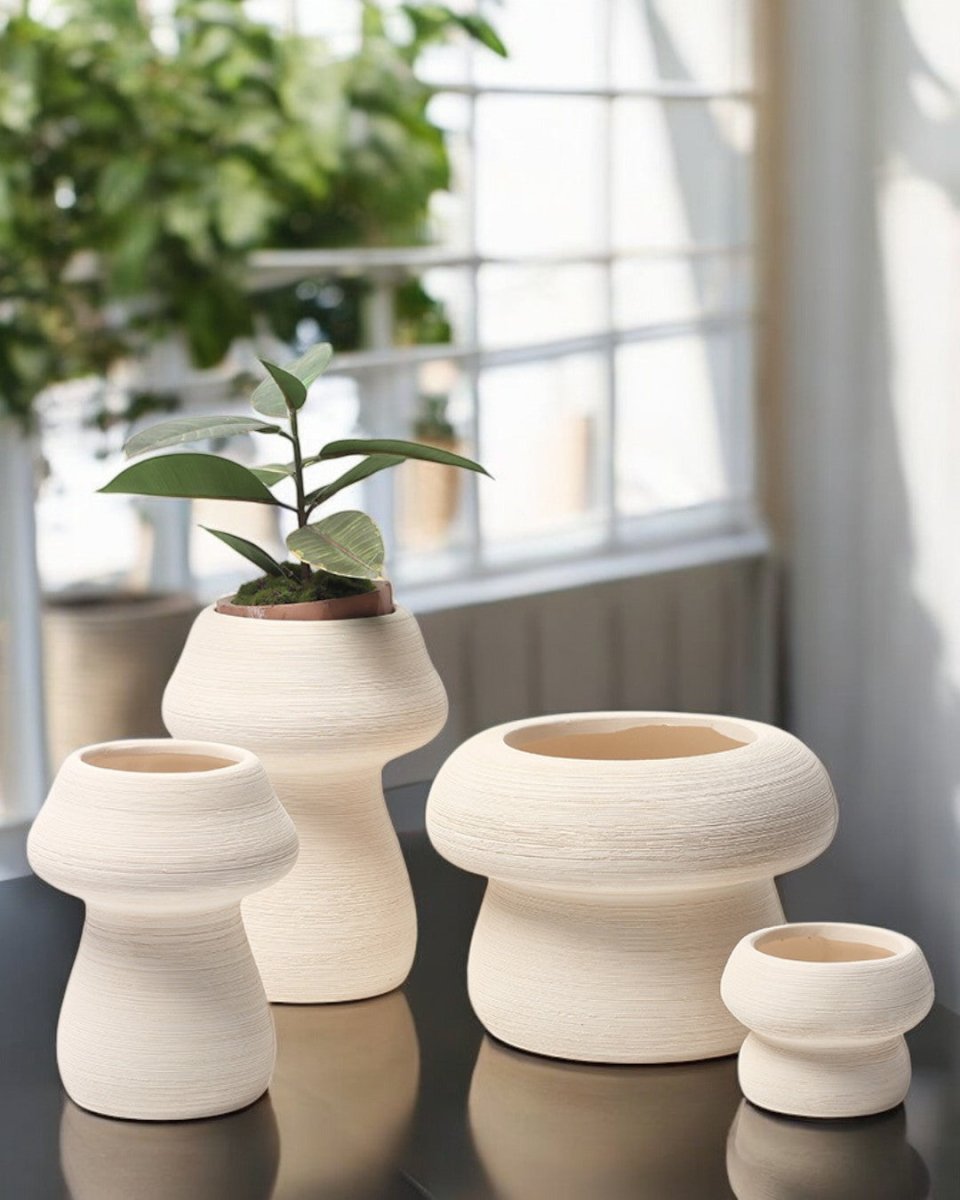 Mushroom Pots (Small) - Pots - 5514187544892 - Tumbleweed Plants - Online Plant Delivery Singapore