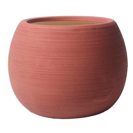 Nala Curves Planter - Medium - Planter - 5481511057806 - Tumbleweed Plants - Online Plant Delivery Singapore