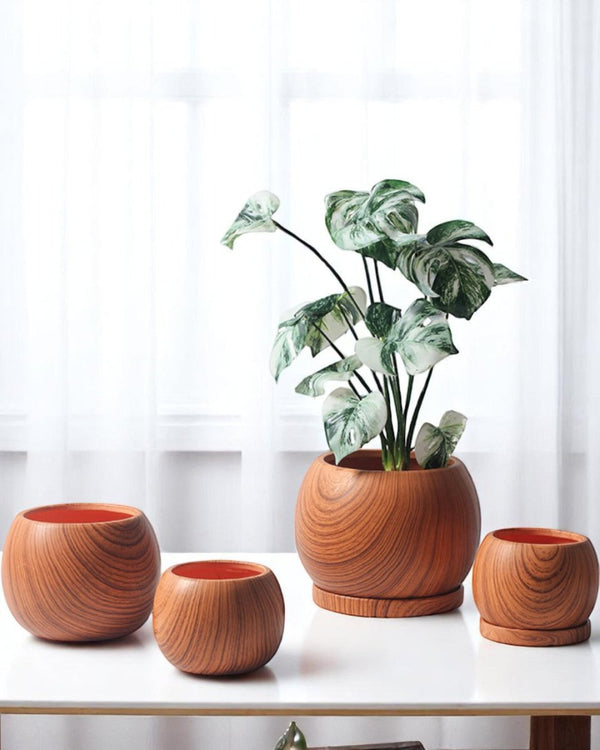 Nala Wood Planter - Medium - Planter - 5004049135259 - Tumbleweed Plants - Online Plant Delivery Singapore