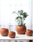 Nala Wood Planter - Medium