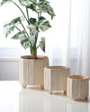 Noko Planter - Medium - Planter - 5426276604878 - Tumbleweed Plants - Online Plant Delivery Singapore