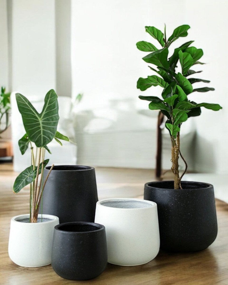 large black indoor plant pot Nova Planter Pot