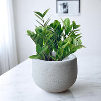 Nova Planter Medium