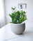 Nova Planter Medium
