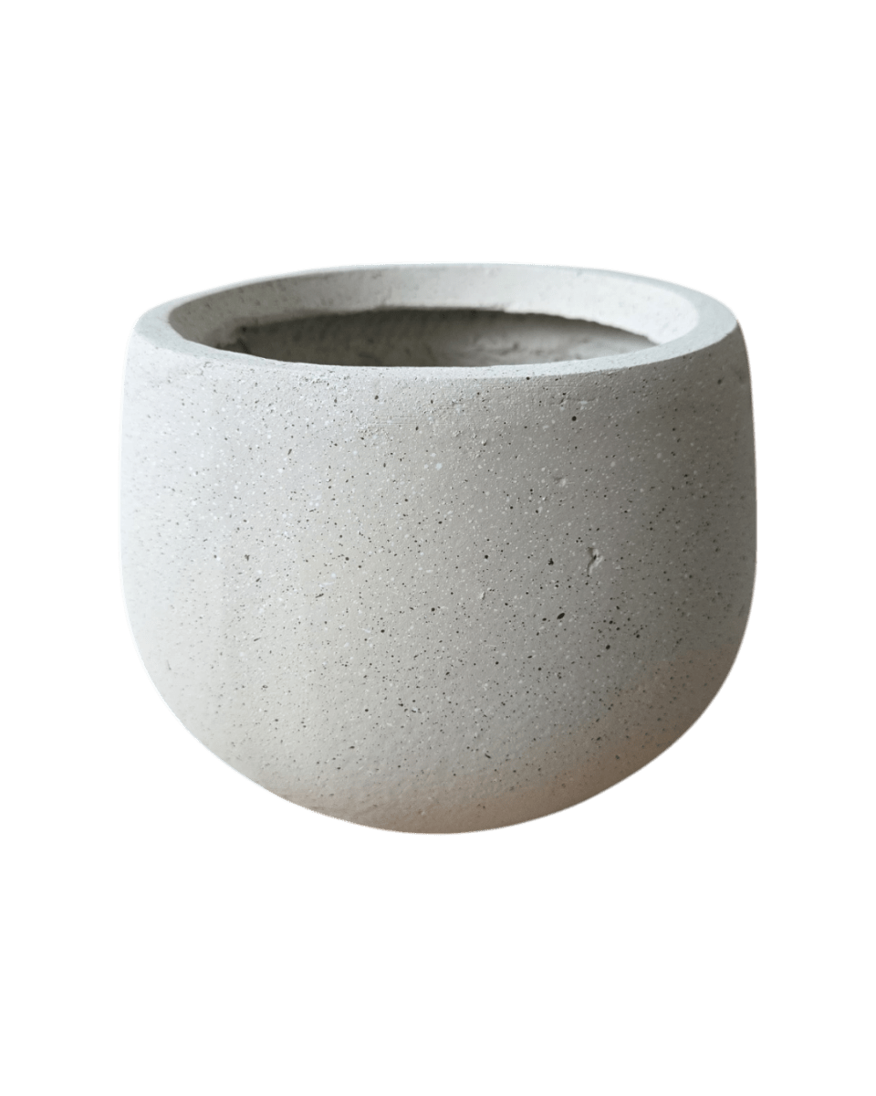 Nova Planter Medium - Pots - 4754535109639 - Tumbleweed Plants - Online Plant Delivery Singapore