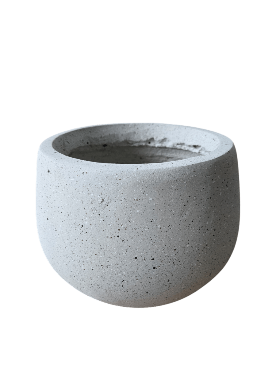 Nova Planter Medium - Pots - 4754535109639 - Tumbleweed Plants - Online Plant Delivery Singapore