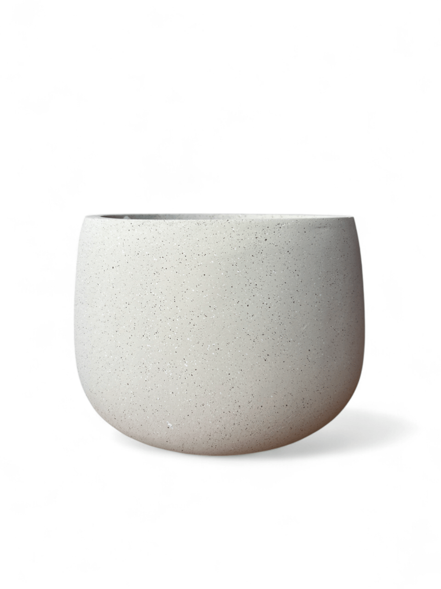 Nova Planter Medium - Pots - POTS - NOVA - CRM - 6974 - Tumbleweed Plants - Online Plant Delivery Singapore