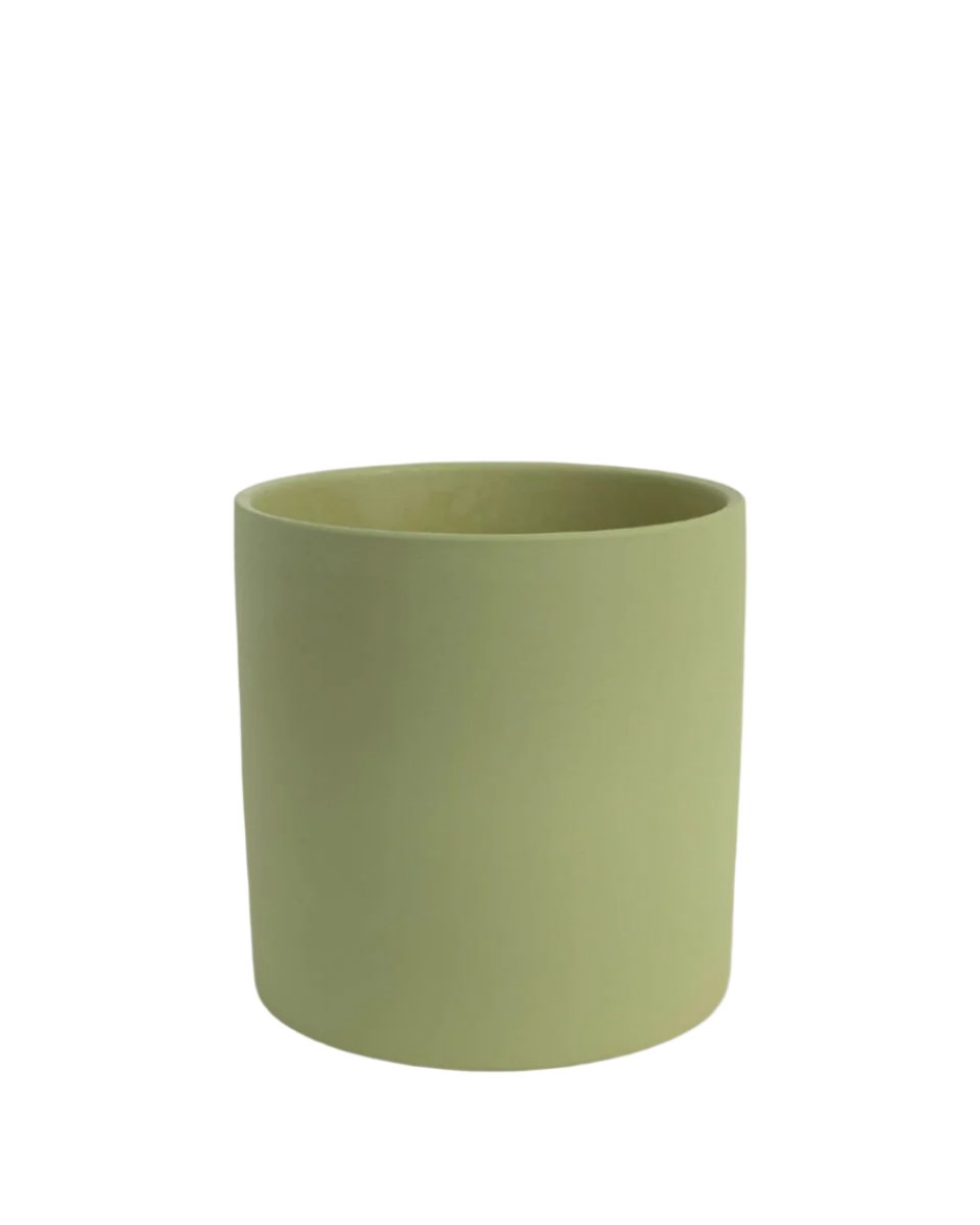 Olive Bloom Ceramic Pot - Large - Pots - Tumbleweed Plants - Online Plant Delivery Singapore